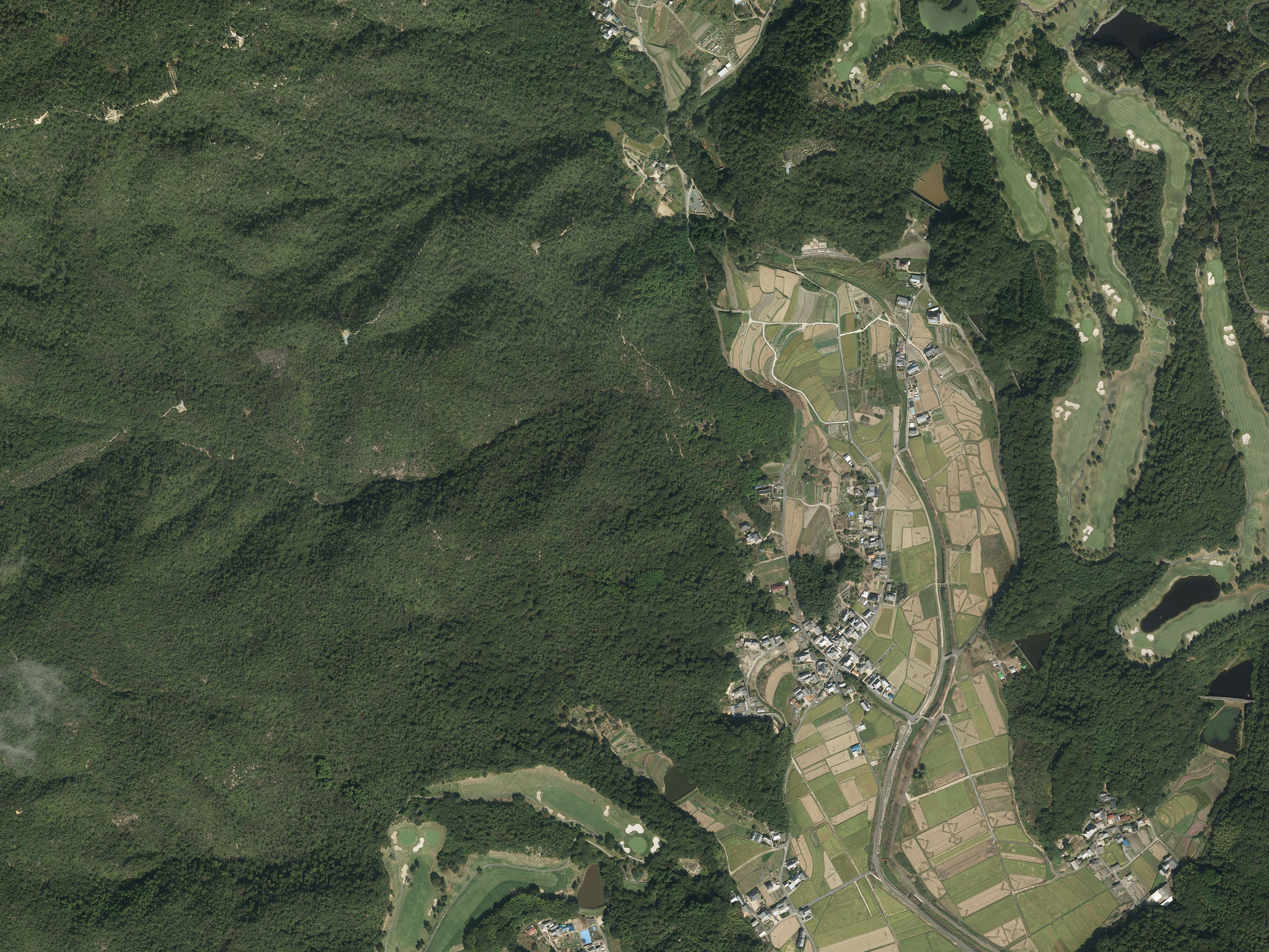 航空写真39の画像