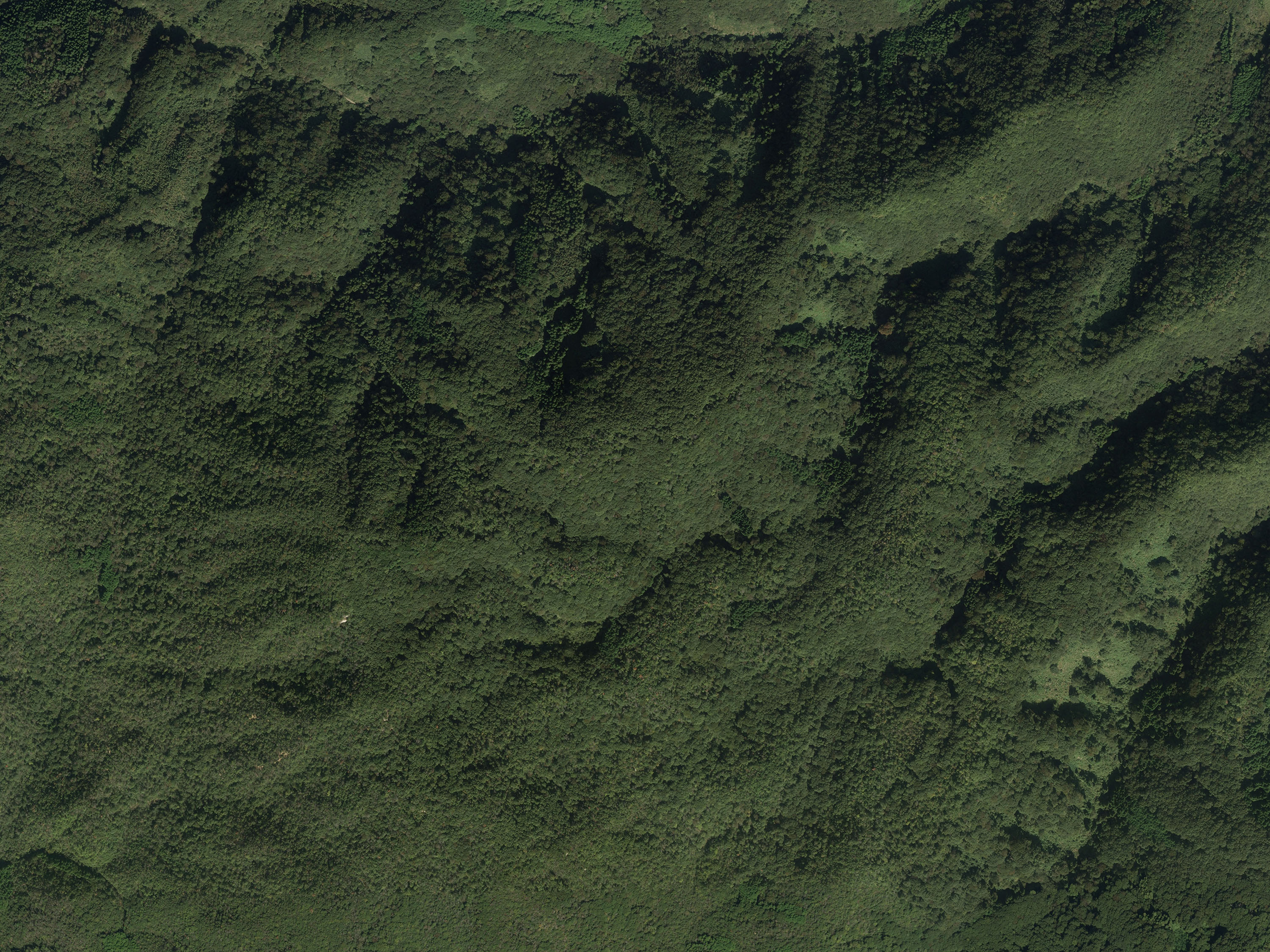 航空写真43の画像