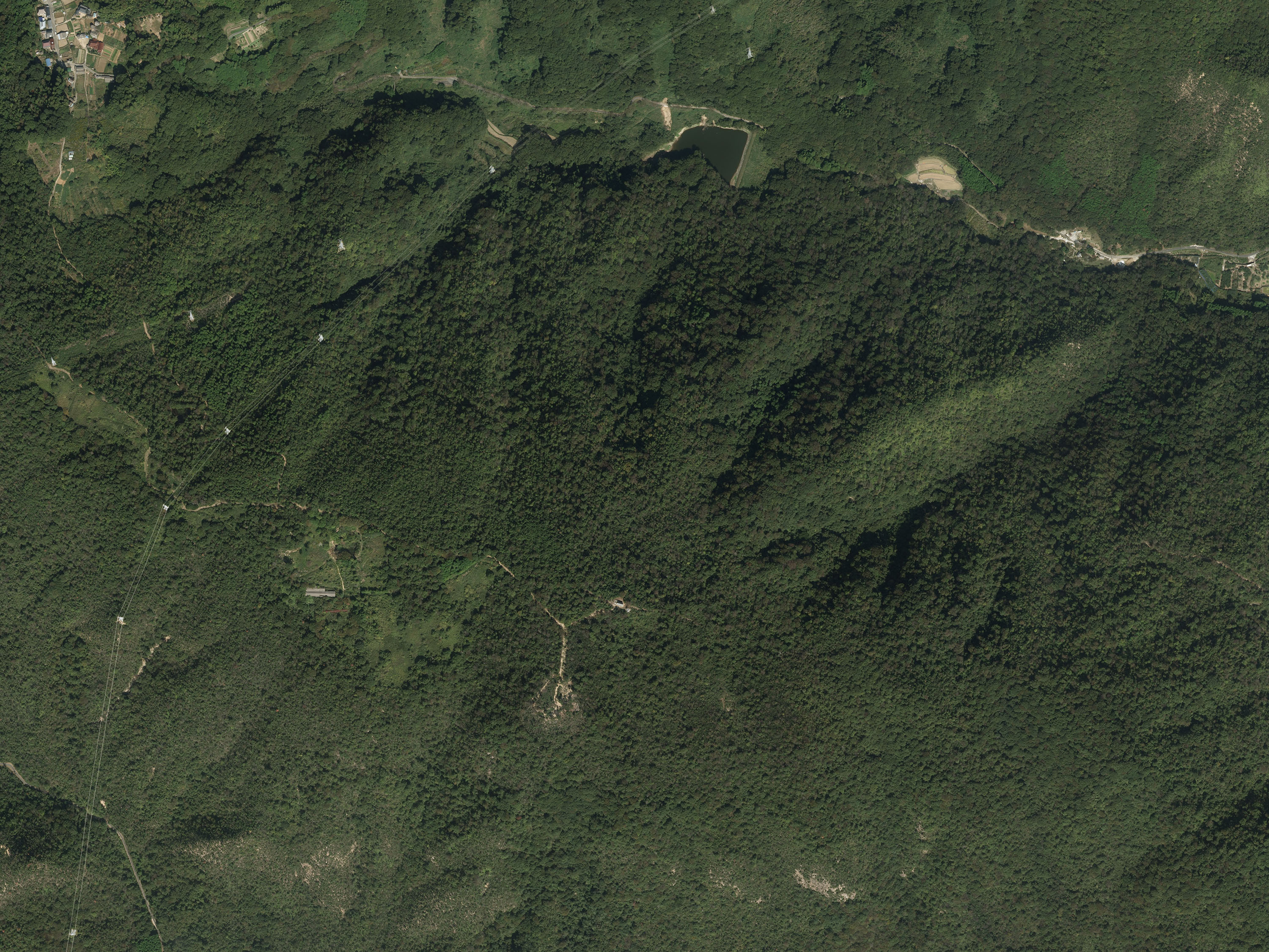 航空写真55の画像