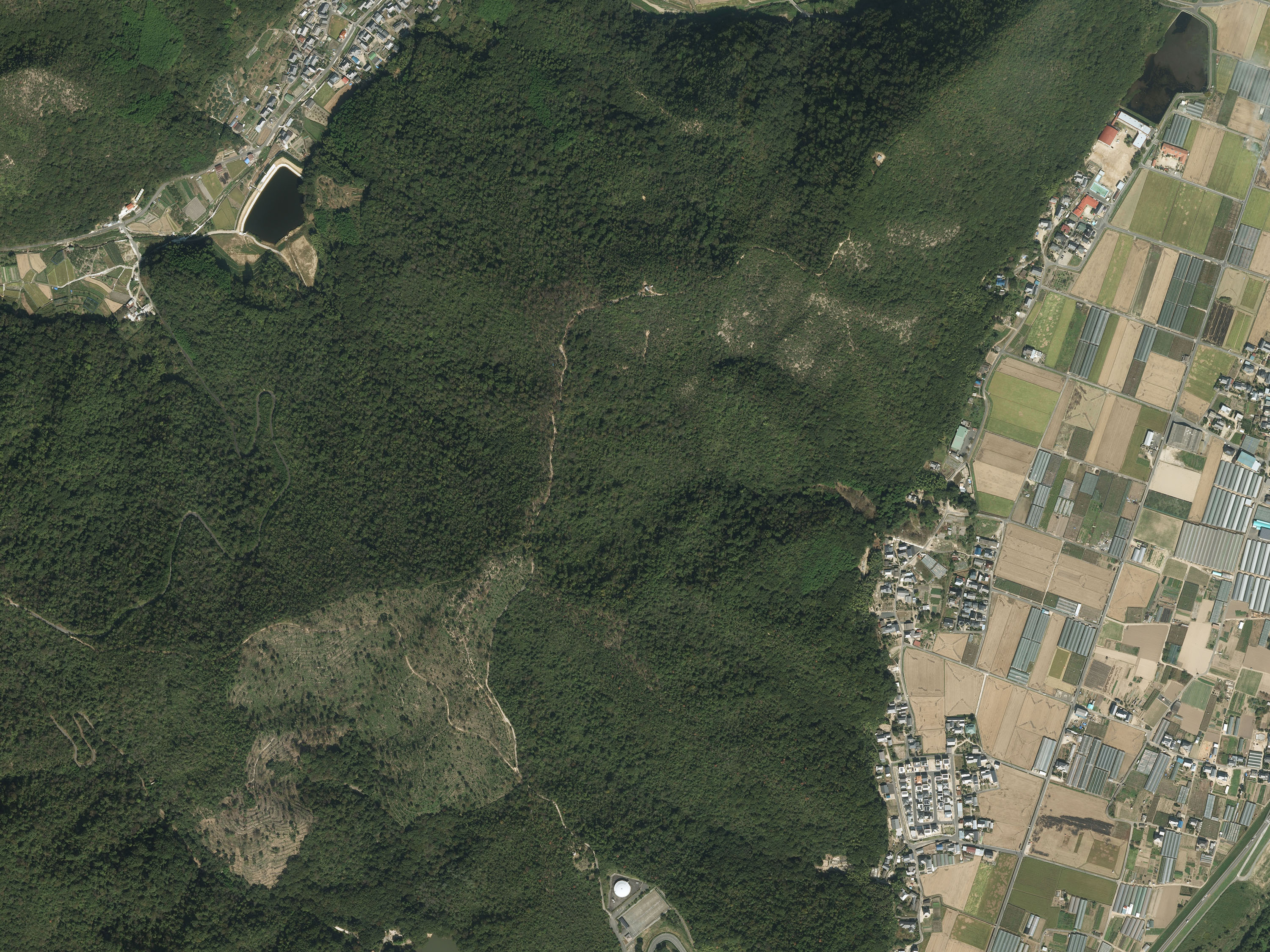 航空写真56の画像