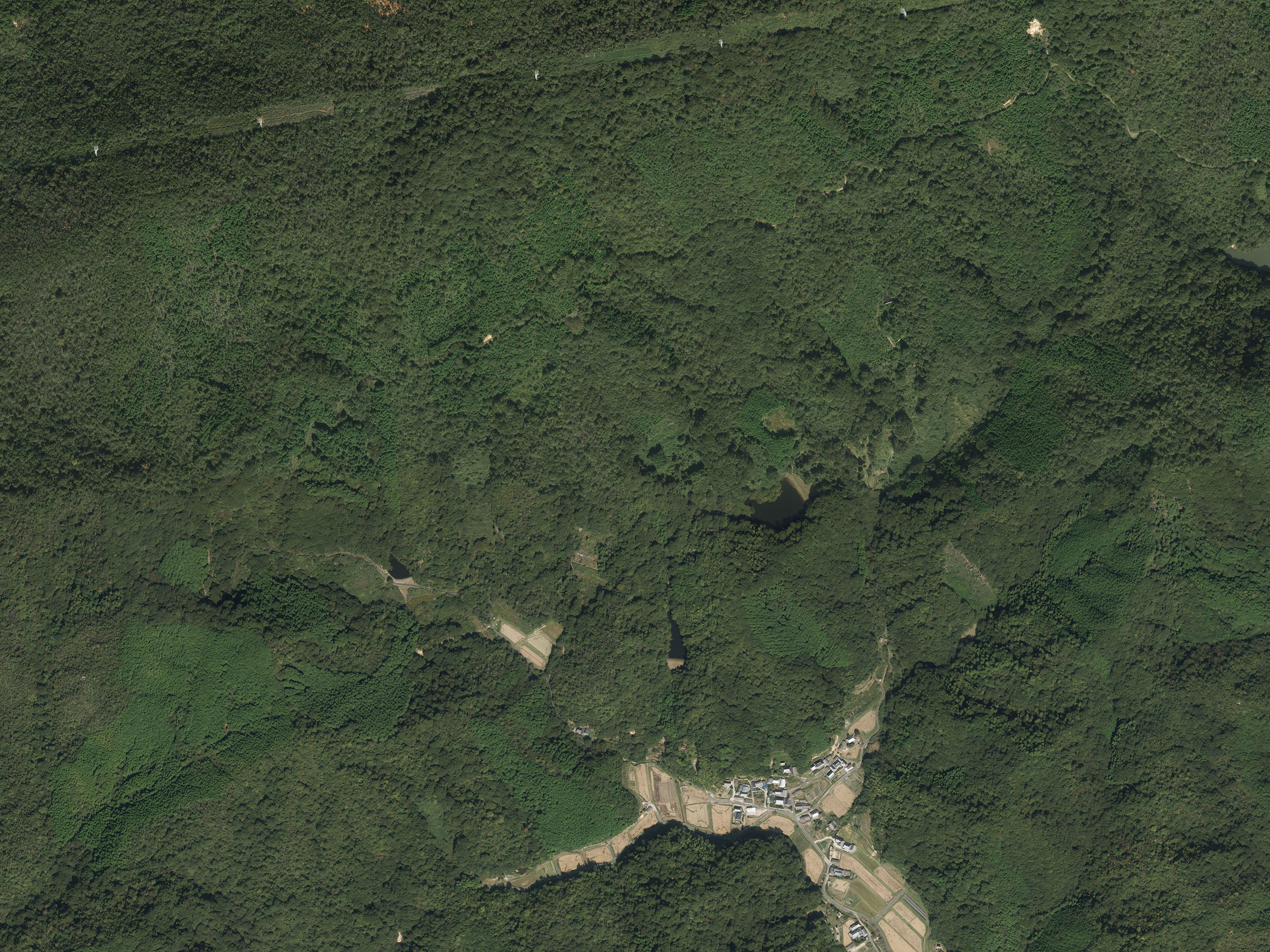 航空写真61の画像