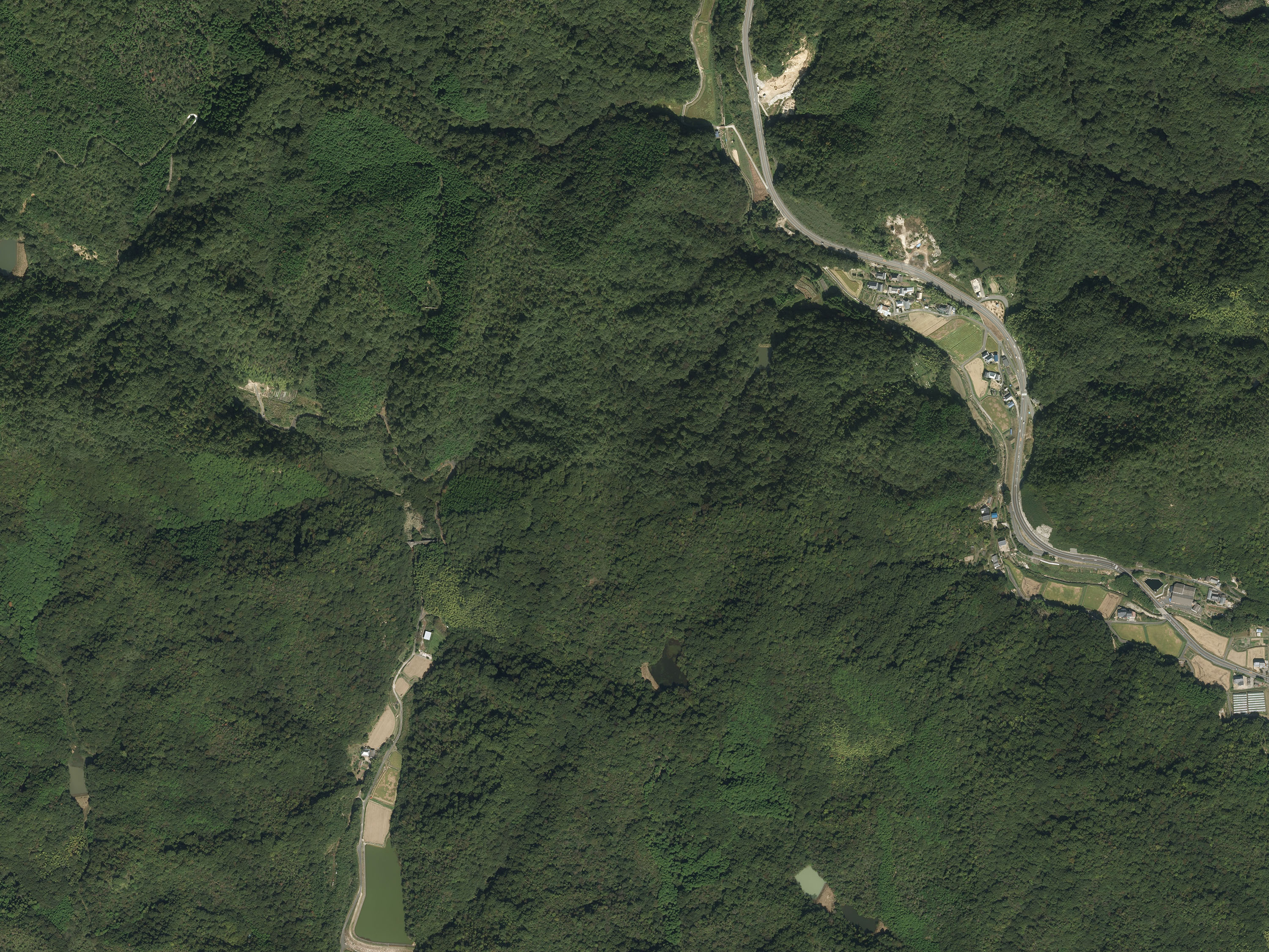 航空写真62の画像