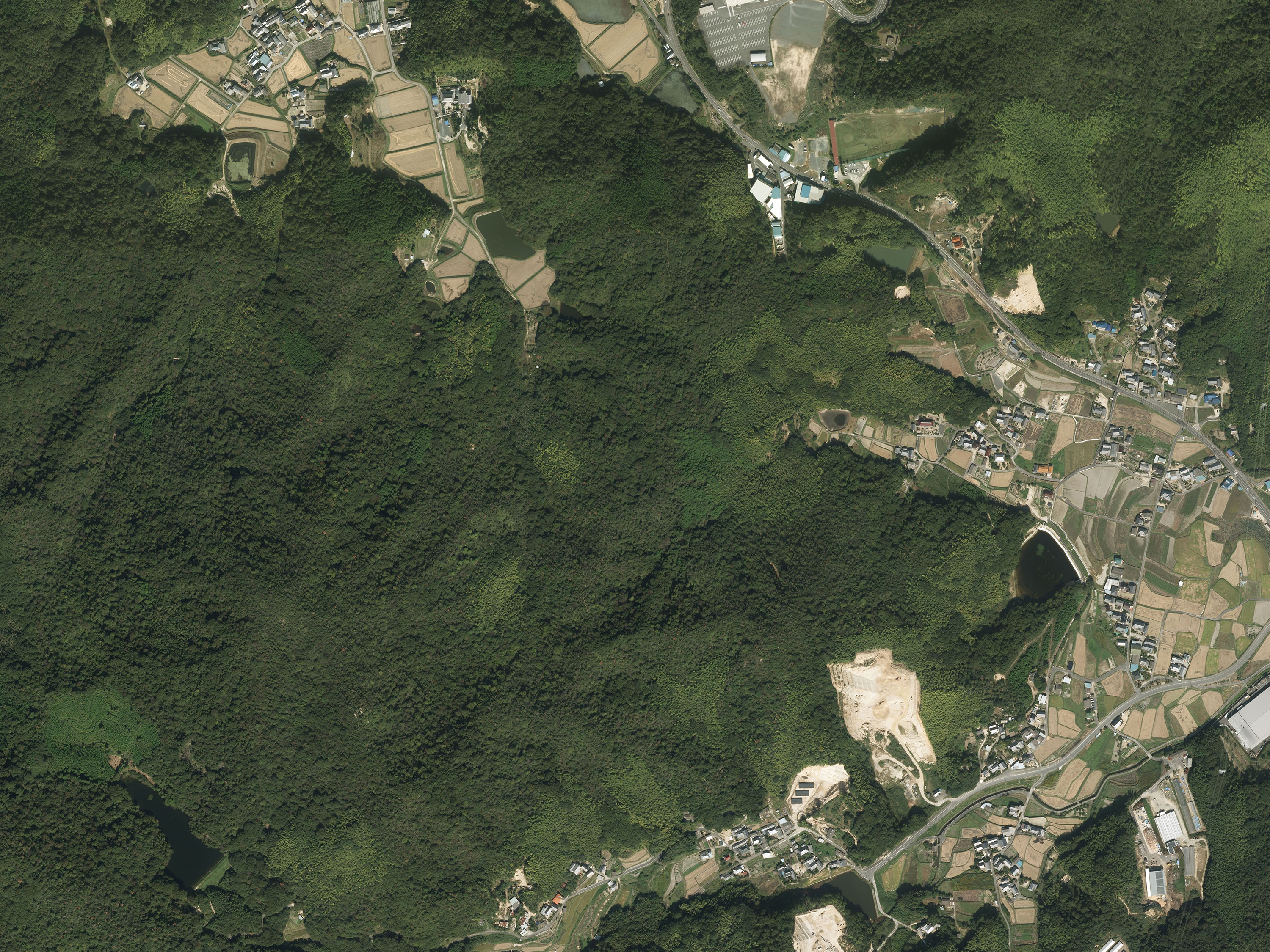 航空写真81の画像