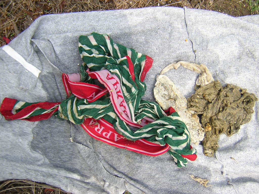 ポンプにかみ込んだタオル等