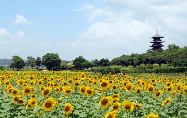吉備路のシンボル備中国分寺五重塔の画像