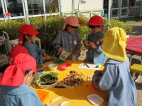 秦幼稚園の写真