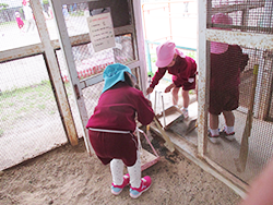 8時40分朝の会、当番活動の画像2