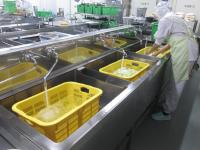 幼稚園分は小さい水槽で洗いますの画像