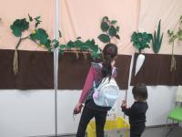 野菜はどこにできるかなの画像