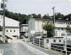 新本小学校の画像1