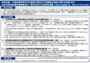 改正法の概要の画像