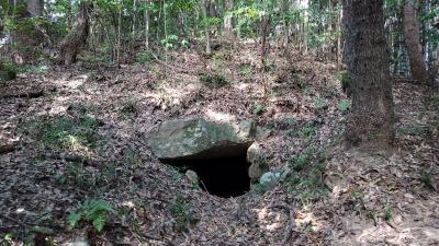 緑山古墳群　8号墳