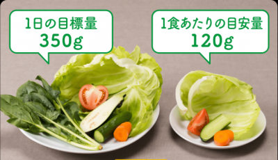 1日の目標量と1食の目安量の写真