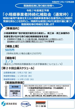 小規模事業者持続化補助金(通常枠)の画像