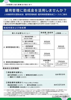 人材確保等支援助成金(雇用管理制度・雇用環境整備助成コース)の画像