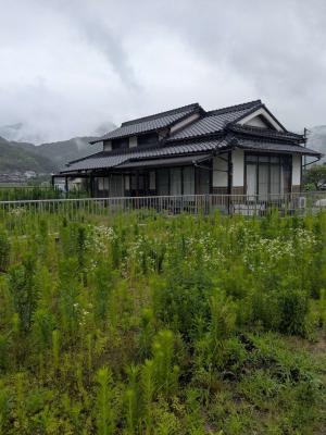 原2195