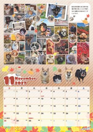 サンプル画像2(11月)