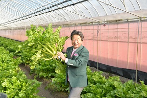 収穫したセロリを持つ市長