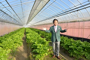 セロリ畑と市長