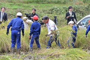 6日　新本本庄国司神社の神田で赤米の稲刈りの画像1