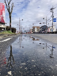 優秀賞【雨上がり】の画像