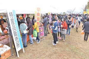 秋の収穫祭と感謝の日　にぎわい