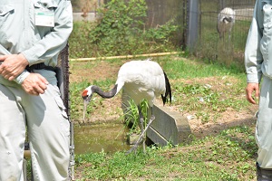 22日　きびじつるの里オープン20周年記念イベントへの画像1