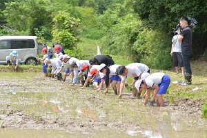 13日　新本本庄国司神社神田で赤米田植えの画像2