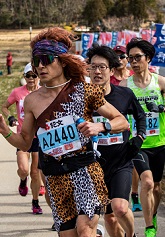 優秀賞【力走】の画像