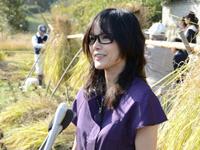 9日 総社赤米大使 相川七瀬さんが赤米の稲刈りの画像