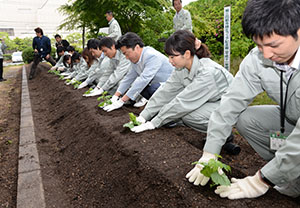 市長といっしょにゴーヤを植える