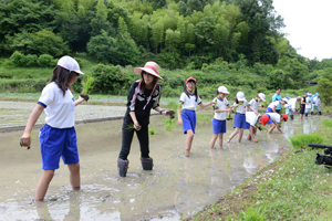 相川七瀬さんと田植え