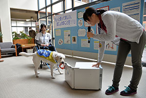 キャロルちゃんのデモンストレーション