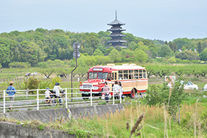 国分寺前を走るレトロバス