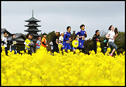 優秀賞「早春を走る」の画像