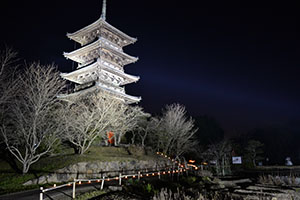 備中国分寺のライトアップ