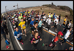 吉備路を走るの画像1