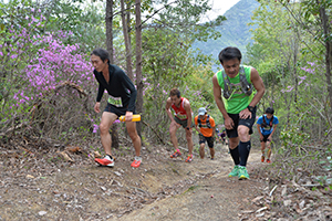 山中を駆けるランナー
