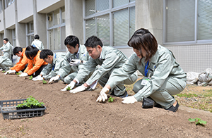 新入職員植え付け