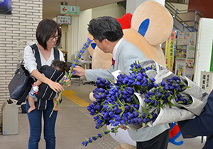 リンドウのプレゼント