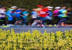 最優秀賞　「風と共に走る」の画像