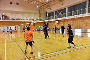 ソフトバレーボール