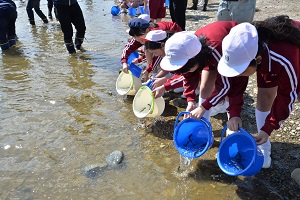15日　高梁川へ稚鮎を放流の画像2