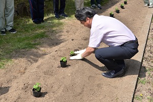 15日　緑のゴーヤカーテンで市役所を涼しくの画像1