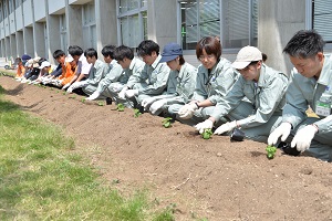 15日　緑のゴーヤカーテンで市役所を涼しくの画像2