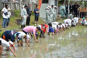 19日　新本本庄国司神社神田で赤米田植えの画像
