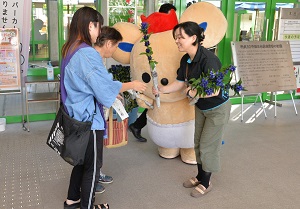 リンドウプレゼント